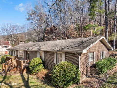 Tiny photo for 691 Barclay Lane, Jellico, TN 37762 (MLS # 1326212)