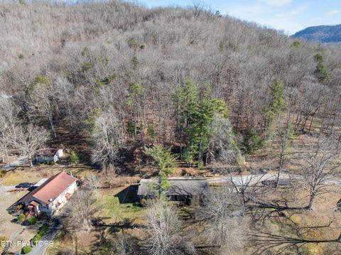 Tiny photo for 691 Barclay Lane, Jellico, TN 37762 (MLS # 1326212)