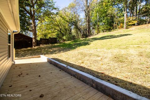 Tiny photo for 157 Beech St, Harriman, TN 37748 (MLS # 1318986)