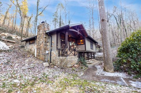 Tiny photo for 259 Black Mash Hollow Rd, Townsend, TN 37882 (MLS # 1328427)