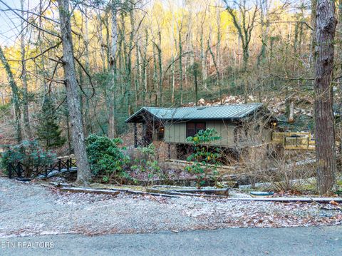 Tiny photo for 259 Black Mash Hollow Rd, Townsend, TN 37882 (MLS # 1328427)