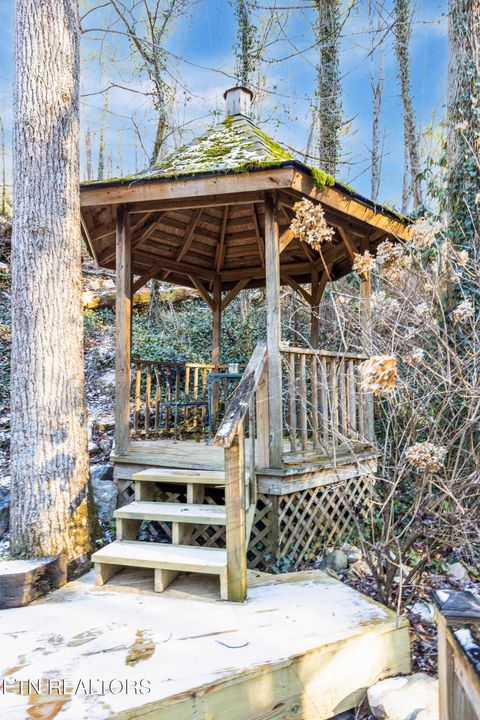 Tiny photo for 259 Black Mash Hollow Rd, Townsend, TN 37882 (MLS # 1328427)