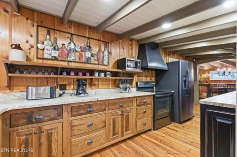 Tiny photo for 259 Black Mash Hollow Rd, Townsend, TN 37882 (MLS # 1328427)