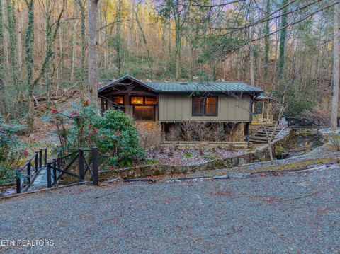 Tiny photo for 259 Black Mash Hollow Rd, Townsend, TN 37882 (MLS # 1328427)