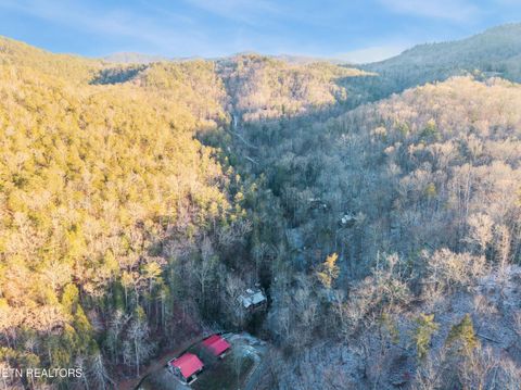 Tiny photo for 259 Black Mash Hollow Rd, Townsend, TN 37882 (MLS # 1328427)