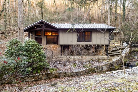 259 Black Mash Hollow Rd Townsend TN 37882