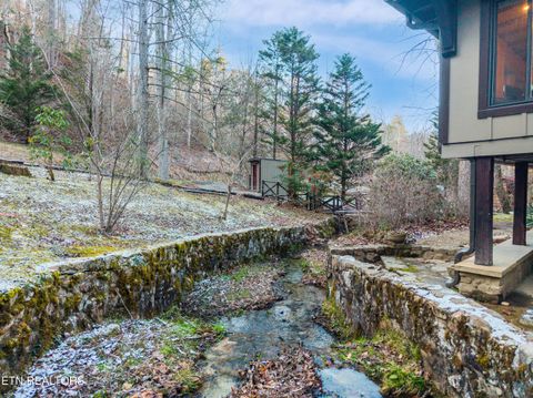 Tiny photo for 259 Black Mash Hollow Rd, Townsend, TN 37882 (MLS # 1328427)