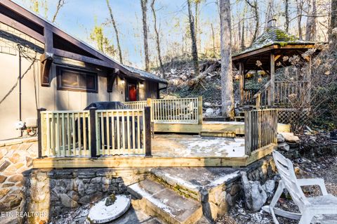 Tiny photo for 259 Black Mash Hollow Rd, Townsend, TN 37882 (MLS # 1328427)