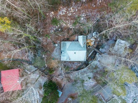 Tiny photo for 259 Black Mash Hollow Rd, Townsend, TN 37882 (MLS # 1328427)