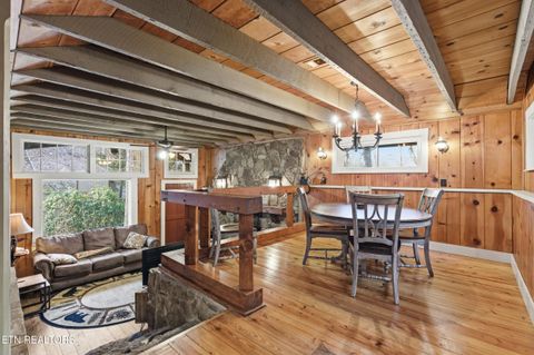 Tiny photo for 259 Black Mash Hollow Rd, Townsend, TN 37882 (MLS # 1328427)