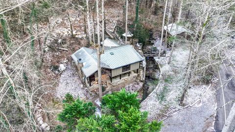 Tiny photo for 259 Black Mash Hollow Rd, Townsend, TN 37882 (MLS # 1328427)