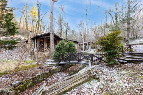 Tiny photo for 259 Black Mash Hollow Rd, Townsend, TN 37882 (MLS # 1328427)