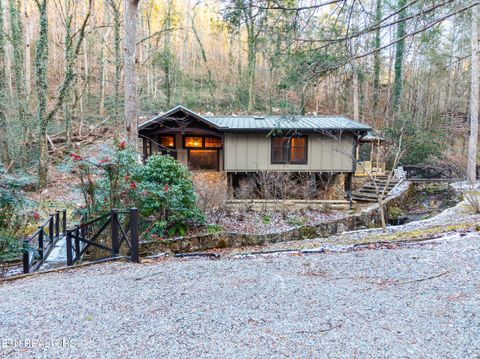 Photo of 259 Black Mash Hollow Rd, Townsend, TN 37882 (MLS # 1328427)