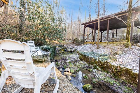 Tiny photo for 259 Black Mash Hollow Rd, Townsend, TN 37882 (MLS # 1328427)