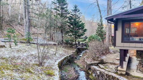 Tiny photo for 259 Black Mash Hollow Rd, Townsend, TN 37882 (MLS # 1328427)