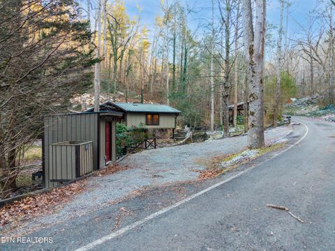 Tiny photo for 259 Black Mash Hollow Rd, Townsend, TN 37882 (MLS # 1328427)