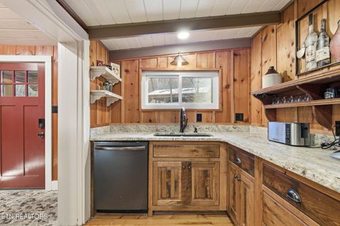 Tiny photo for 259 Black Mash Hollow Rd, Townsend, TN 37882 (MLS # 1328427)