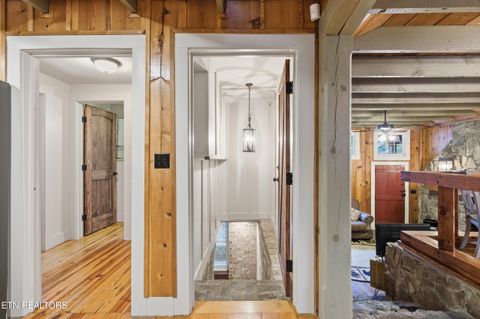 Tiny photo for 259 Black Mash Hollow Rd, Townsend, TN 37882 (MLS # 1328427)