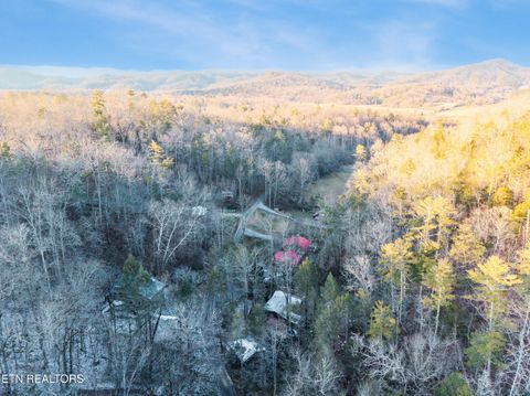 Tiny photo for 259 Black Mash Hollow Rd, Townsend, TN 37882 (MLS # 1328427)