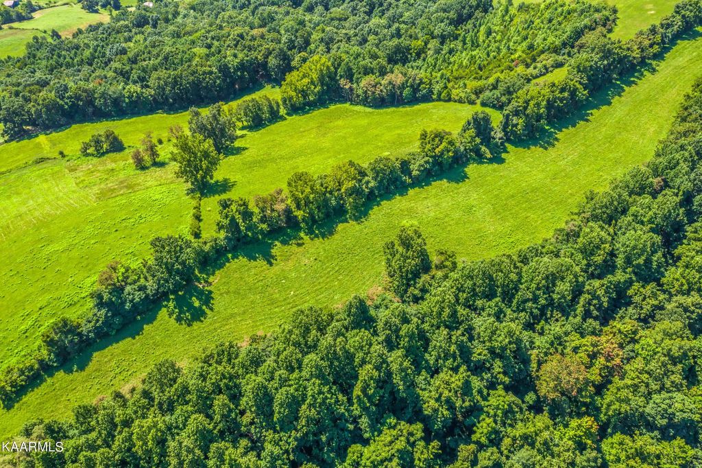 Photo of 39 Off Cunningham Rd, Tazewell, TN 37879 (MLS # 1204019)