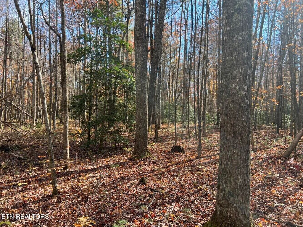 Photo of 523 Honey Creek Loop Rd, Allardt, TN 38504 (MLS # 1322359)