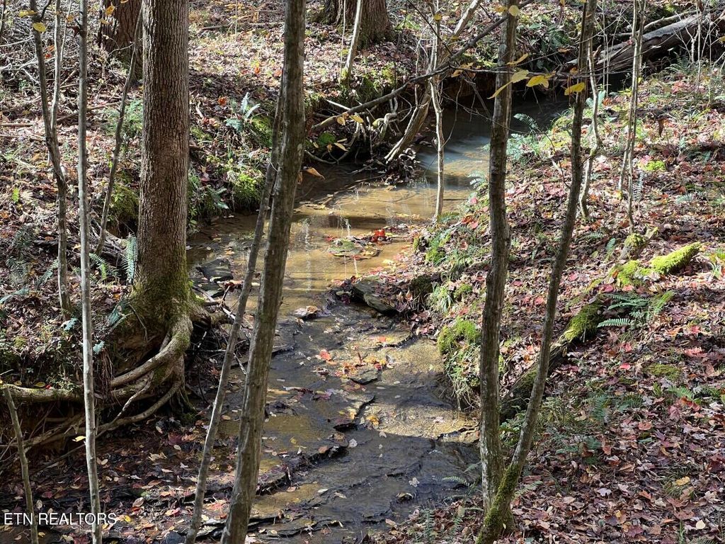 Photo of 523 Honey Creek Loop Rd, Allardt, TN 38504 (MLS # 1322359)