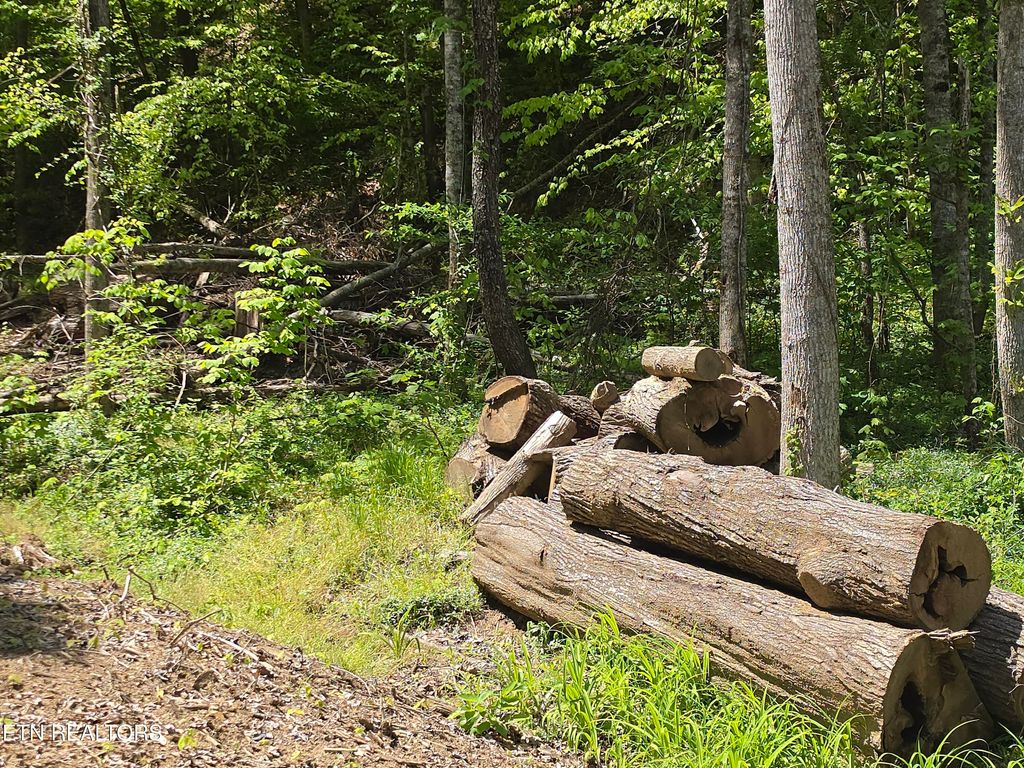 Photo of TBD S Highway 25E Hwy, Tazewell, TN 37879 (MLS # 1338361)