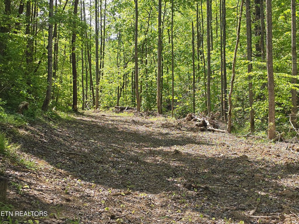 Photo of TBD S Highway 25E Hwy, Tazewell, TN 37879 (MLS # 1338361)