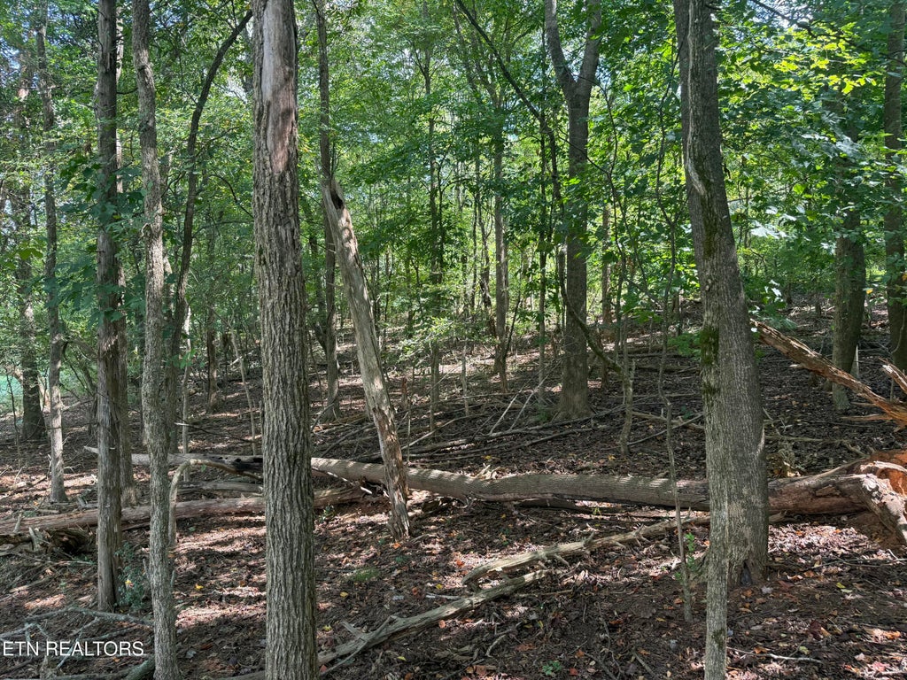 Photo of 21558 Martel Rd, Lenoir City, TN 37772 (MLS # 1357908)