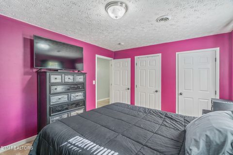 Tiny photo for 4621 Okey St, Knoxville, TN 37920 (MLS # 1319050)