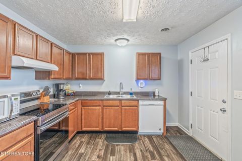 Tiny photo for 4621 Okey St, Knoxville, TN 37920 (MLS # 1319050)