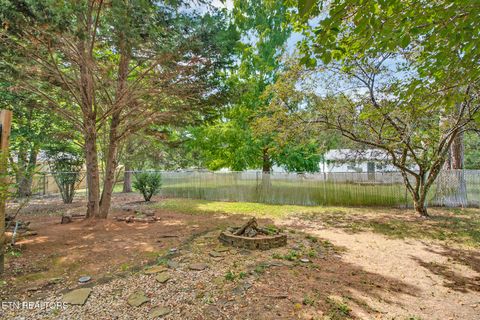 Tiny photo for 212 Reba Ave, Harriman, TN 37748 (MLS # 1317704)