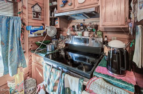 Tiny photo for 2505 Fleming Way, Sevierville, TN 37876 (MLS # 1330188)