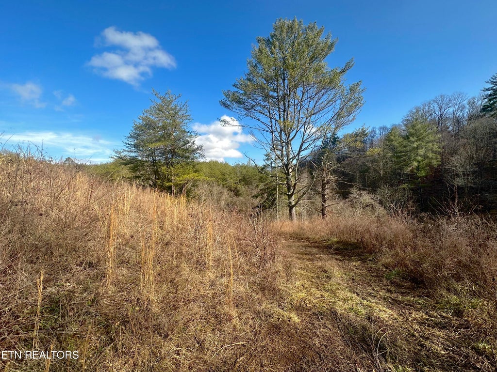 Photo of 000 Leatherwood Rd, Sevierville, TN 37876 (MLS # 1352531)