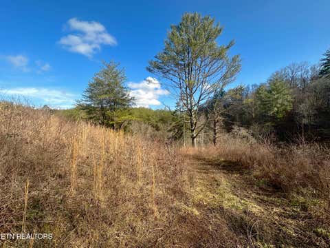 Photo of 000 Leatherwood Rd, Sevierville, TN 37876 (MLS # 1352531)