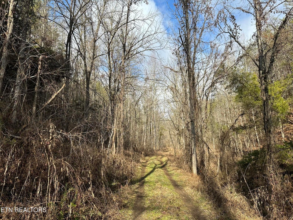 Photo of 000 Leatherwood Rd, Sevierville, TN 37876 (MLS # 1352531)