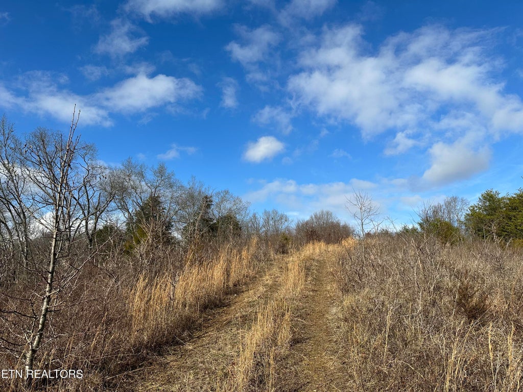 Photo of 000 Leatherwood Rd, Sevierville, TN 37876 (MLS # 1352531)