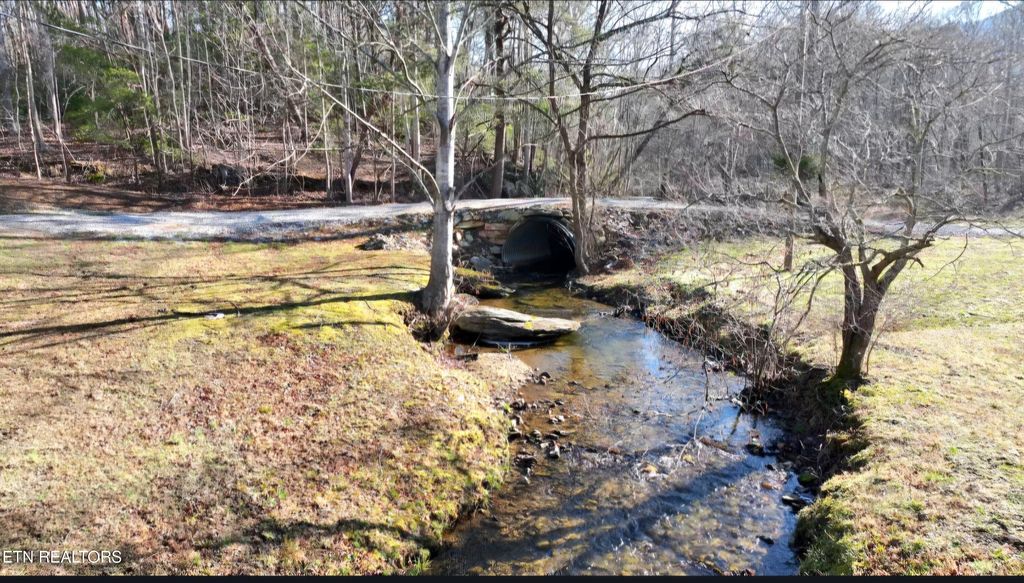 Photo of 248 Lower Smithfield Rd, Tellico Plains, TN 37385 (MLS # 1331490)