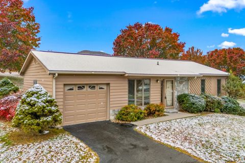 Tiny photo for 1249 Green Acres Drive, Newport, TN 37821 (MLS # 1321927)