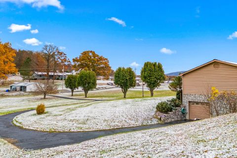 Tiny photo for 1249 Green Acres Drive, Newport, TN 37821 (MLS # 1321927)