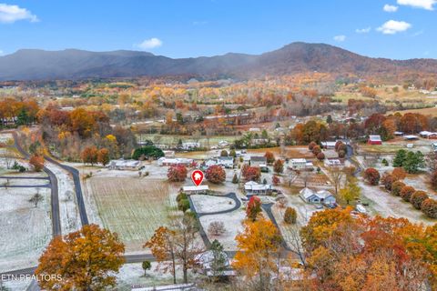 Tiny photo for 1249 Green Acres Drive, Newport, TN 37821 (MLS # 1321927)