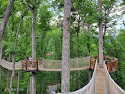 Tiny photo for Sleepy Hollow Road Rd, Gatlinburg, TN 37738 (MLS # 1328914)