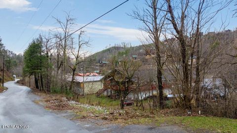 Tiny photo for Sleepy Hollow Road Rd, Gatlinburg, TN 37738 (MLS # 1328914)