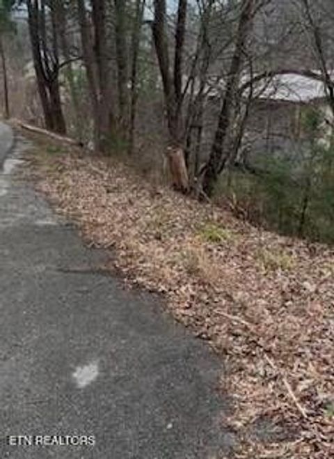 Tiny photo for Sleepy Hollow Road Rd, Gatlinburg, TN 37738 (MLS # 1328914)