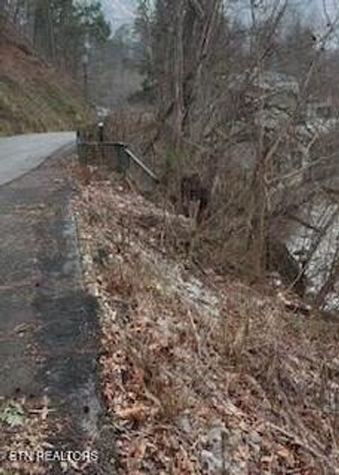 Tiny photo for Sleepy Hollow Road Rd, Gatlinburg, TN 37738 (MLS # 1328914)
