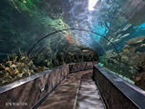 Tiny photo for Sleepy Hollow Road Rd, Gatlinburg, TN 37738 (MLS # 1328914)