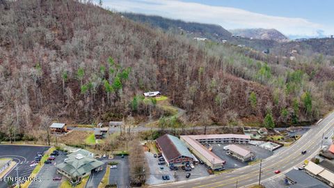 Tiny photo for Sleepy Hollow Road Rd, Gatlinburg, TN 37738 (MLS # 1328914)
