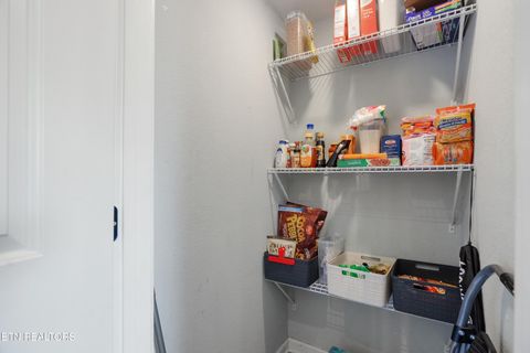 Tiny photo for 570 Stout Town Rd, Blaine, TN 37709 (MLS # 1334965)