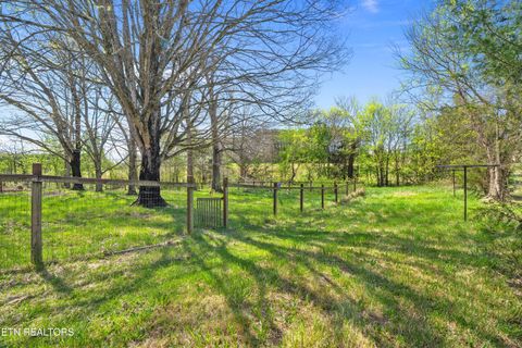 Tiny photo for 570 Stout Town Rd, Blaine, TN 37709 (MLS # 1334965)