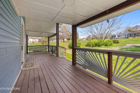 Tiny photo for 570 Stout Town Rd, Blaine, TN 37709 (MLS # 1334965)